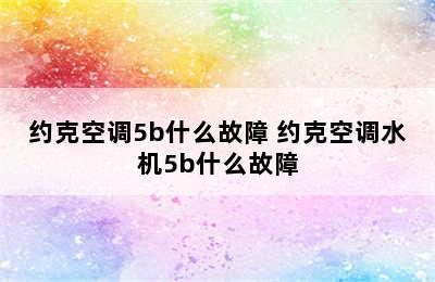 约克空调5b什么故障 约克空调水机5b什么故障